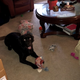 Illustration for article titled Vicious Beast, Left Unsupervised, Goes on Killing Spree